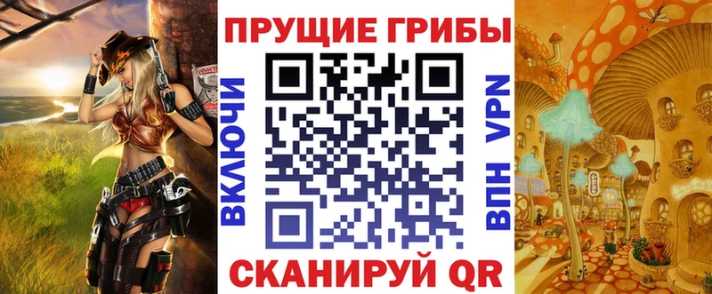 наркошоп  Верхняя Пышма  Галлюциногенные грибы Psilocybe 