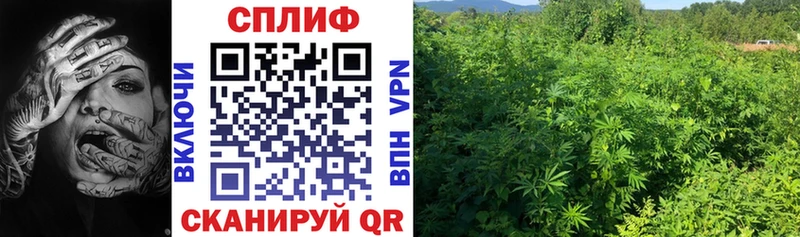 Бошки Шишки гибрид Верхняя Пышма